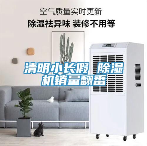 清明小长假 猫咪成人官网销量翻番