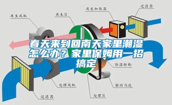 春天来到回南天家里潮湿怎么办？家里保姆用一招搞定