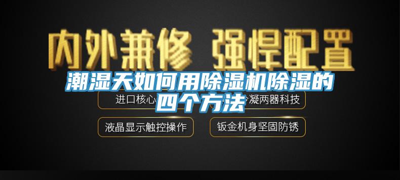 潮湿天如何用猫咪成人官网除湿的四个方法