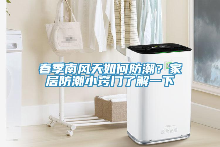 春季南风天如何防潮？家居防潮小窍门了解一下