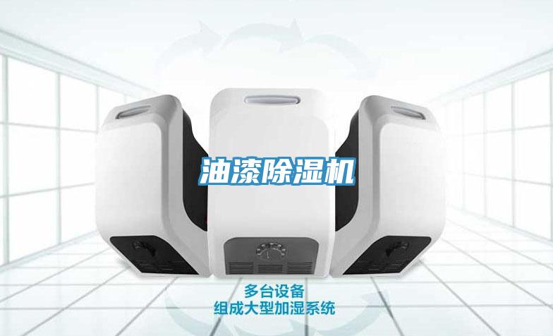 油漆猫咪成人官网