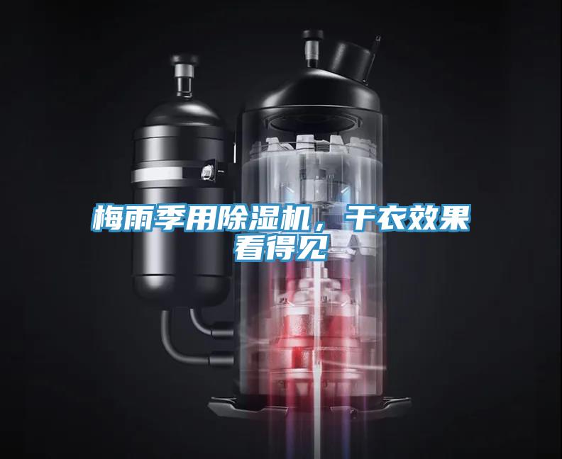 梅雨季用猫咪成人官网，干衣效果看得见