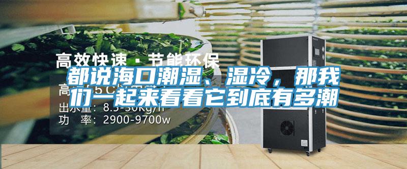 都说海口潮湿、湿冷，那猫咪成人在线视频一起来看看它到底有多潮