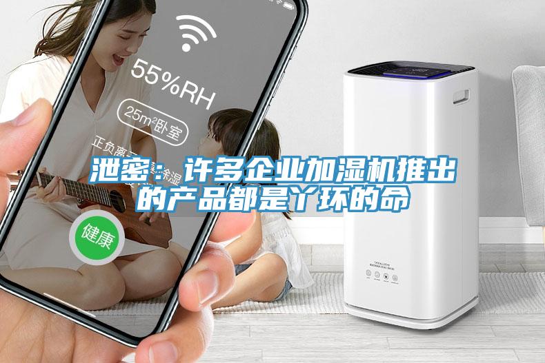 泄密：许多企业加湿机推出的产品都是丫环的命