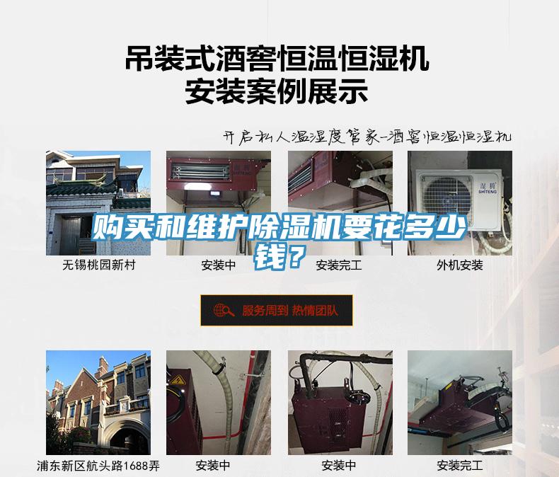 购买和维护猫咪成人官网要花多少钱？