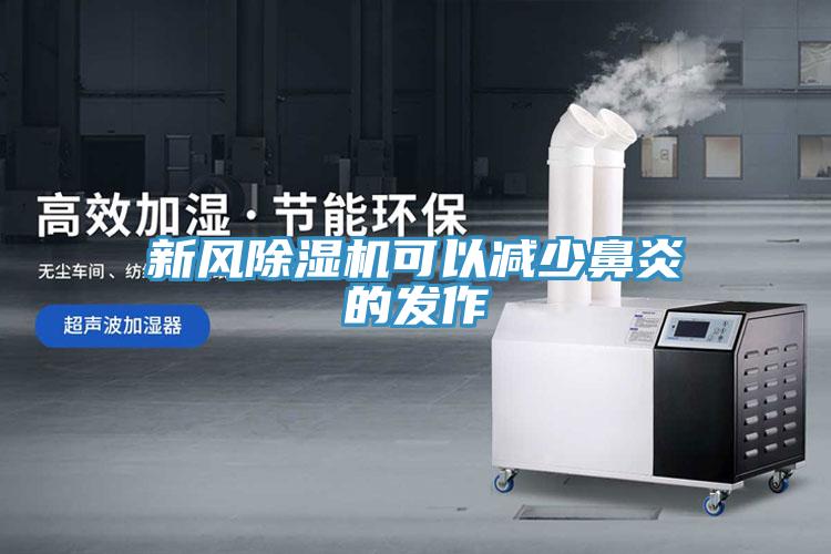 新风猫咪成人官网可以减少鼻炎的发作