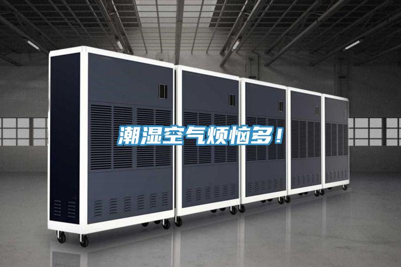 潮湿空气烦恼多！