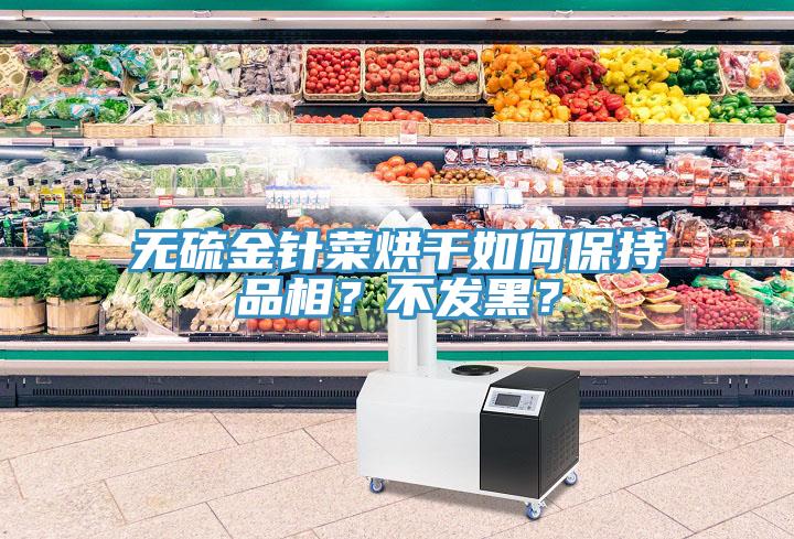 无硫金针菜烘干如何保持品相？不发黑？