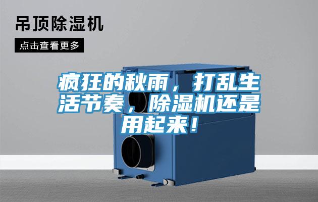 疯狂的秋雨，打乱生活节奏，猫咪成人官网还是用起来！
