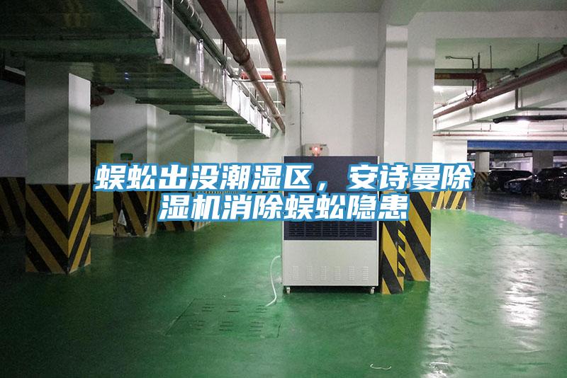 蜈蚣出没潮湿区，猫咪成人在线视频猫咪成人官网消除蜈蚣隐患