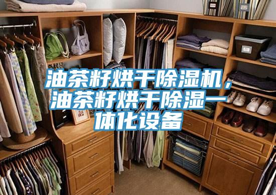 油茶籽烘干猫咪成人官网，油茶籽烘干除湿一体化设备