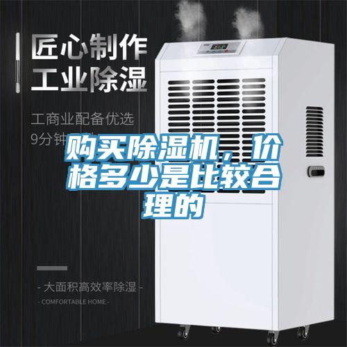 购买猫咪成人官网，价格多少是比较合理的