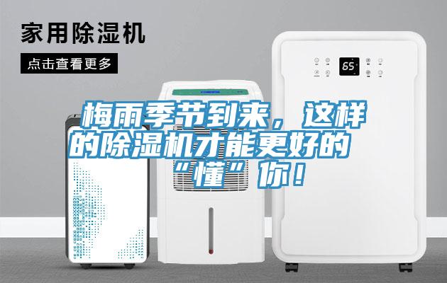 梅雨季节到来，这样的猫咪成人官网才能更好的“懂”你！