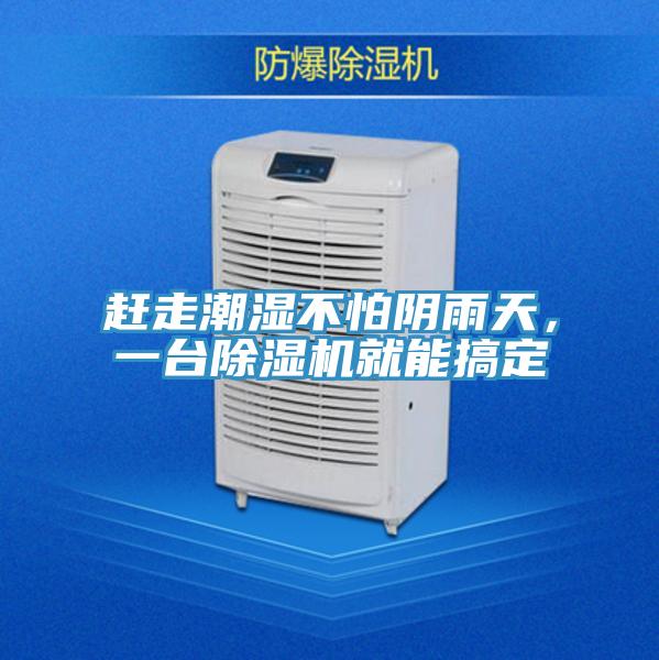 赶走潮湿不怕阴雨天，一台猫咪成人官网就能搞定