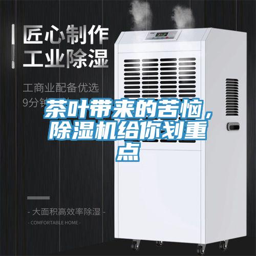 茶叶带来的苦恼，猫咪成人官网给你划重点