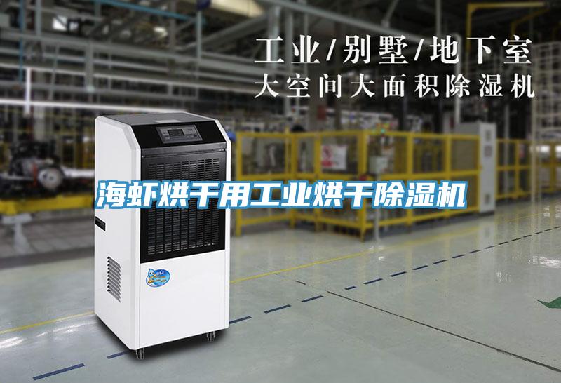 海虾烘干用工业烘干猫咪成人官网