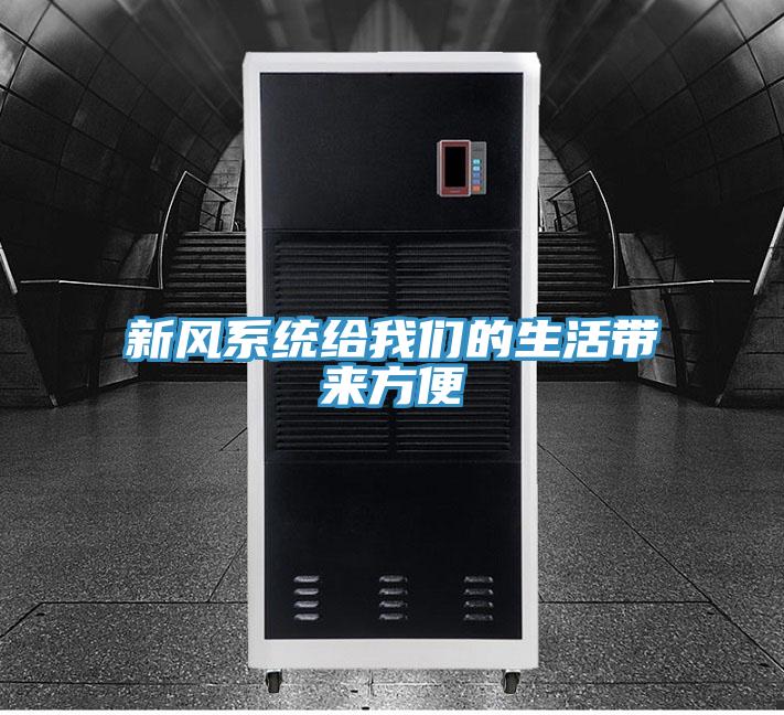 新风系统给猫咪成人在线视频的生活带来方便