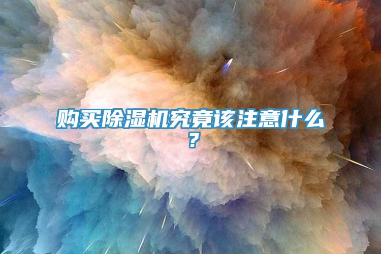 购买猫咪成人官网究竟该注意什么？