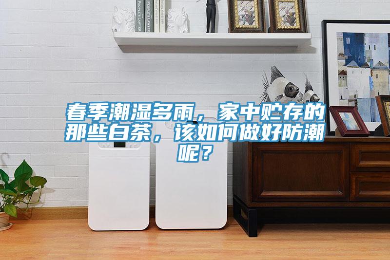 春季潮湿多雨，家中贮存的那些白茶，该如何做好防潮呢？