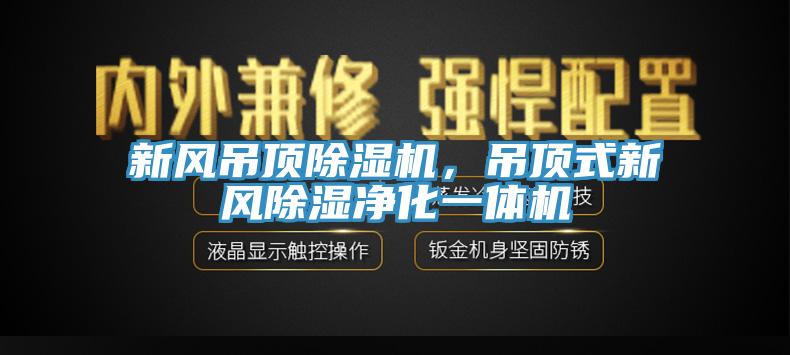 新风吊顶猫咪成人官网，吊顶式新风除湿净化一体机