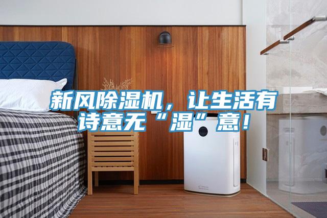 新风猫咪成人官网，让生活有诗意无“湿”意！