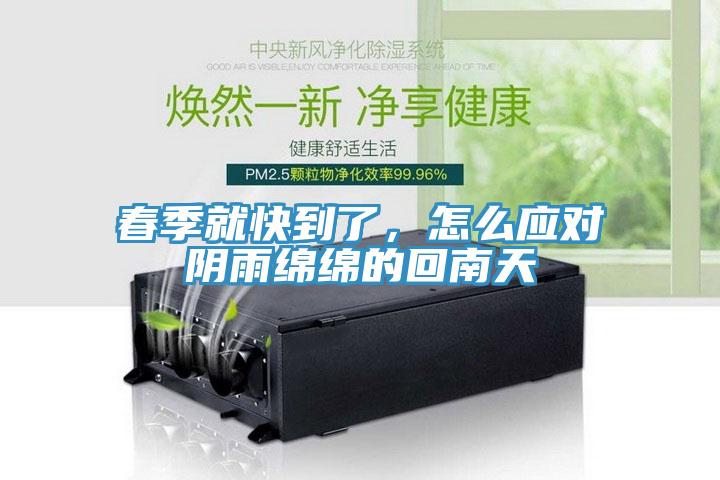 春季就快到了，怎么应对阴雨绵绵的回南天