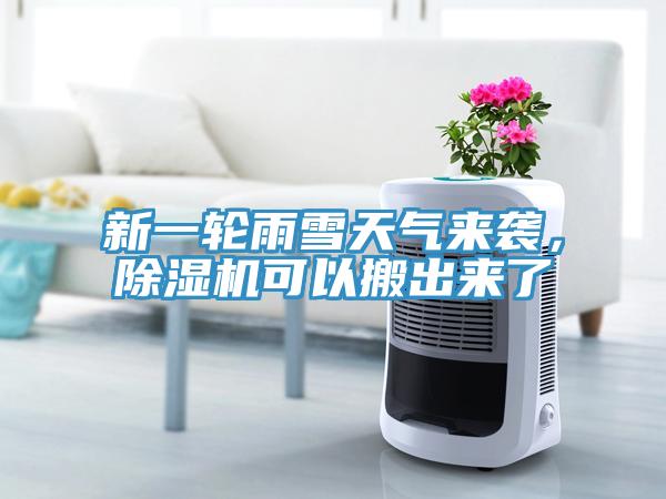 新一轮雨雪天气来袭，猫咪成人官网可以搬出来了