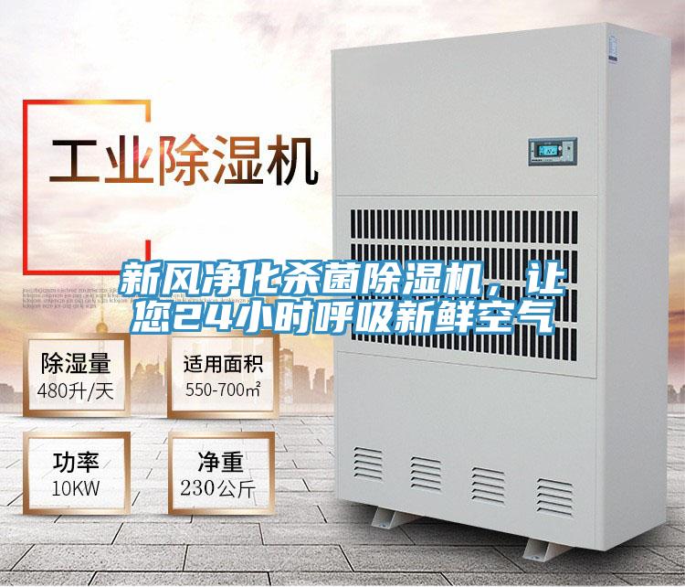 新风净化杀菌猫咪成人官网，让您24小时呼吸新鲜空气