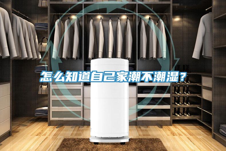 怎么知道自己家潮不潮湿？