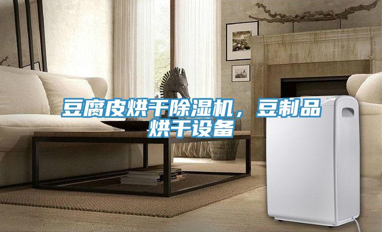 豆腐皮烘干猫咪成人官网，豆制品烘干设备