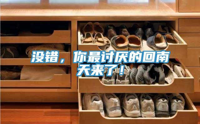 没错，你最讨厌的回南天来了！