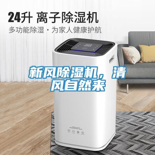 新风猫咪成人官网，清风自然来