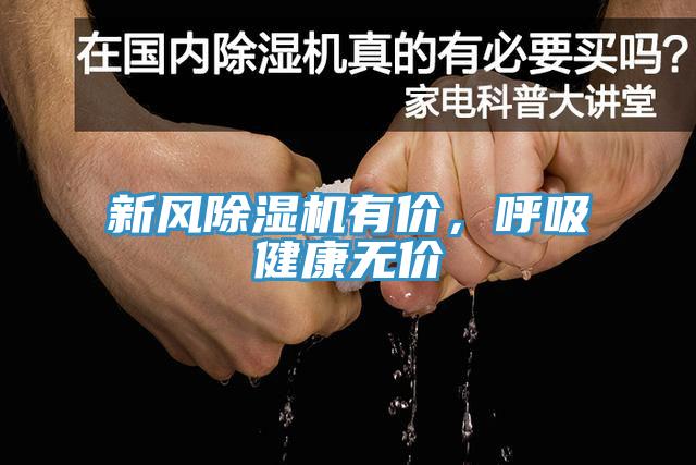 新风猫咪成人官网有价，呼吸健康无价