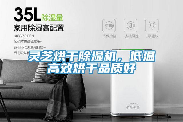 灵芝烘干猫咪成人官网，低温高效烘干品质好