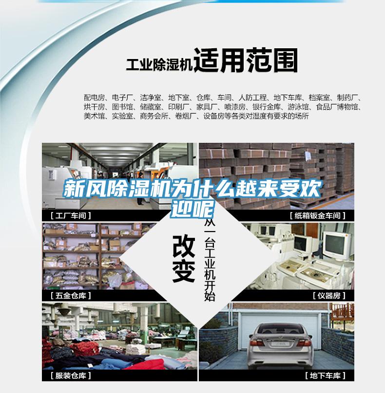 新风猫咪成人官网为什么越来受欢迎呢