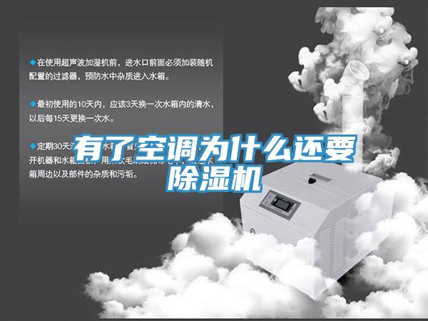 有了空调为什么还要猫咪成人官网