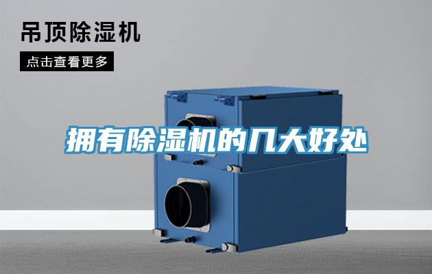 拥有猫咪成人官网的几大好处