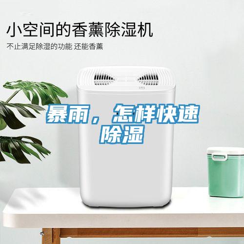 暴雨，怎样快速除湿