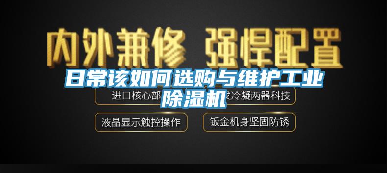日常该如何选购与维护工业猫咪成人官网