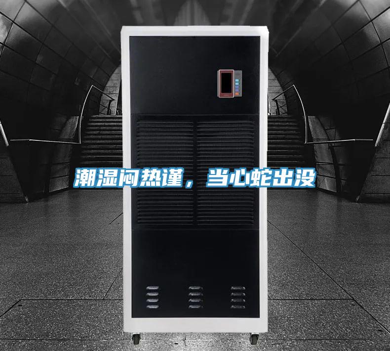 潮湿闷热谨，当心蛇出没