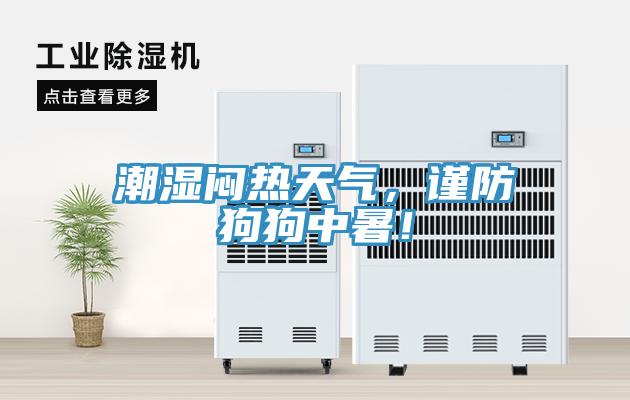 潮湿闷热天气，谨防狗狗中暑！
