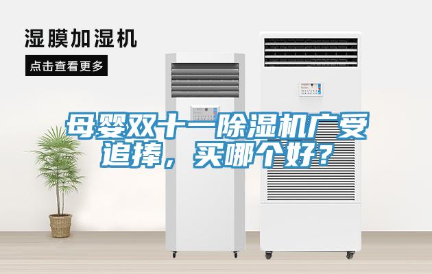 母婴双十一猫咪成人官网广受追捧，买哪个好？
