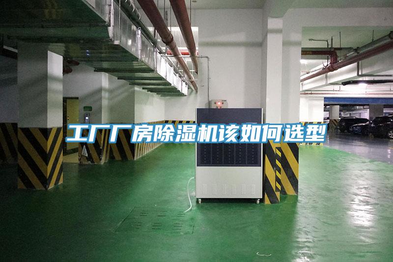 工厂厂房猫咪成人官网该如何选型