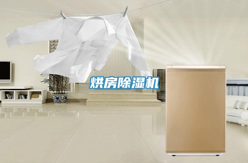 烘房猫咪成人官网