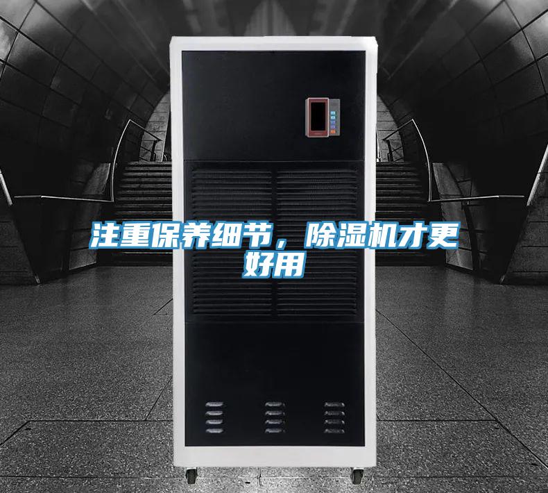 注重保养细节，猫咪成人官网才更好用