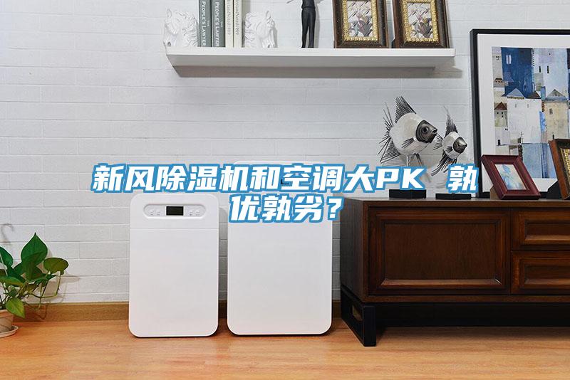 新风猫咪成人官网和空调大PK 孰优孰劣？