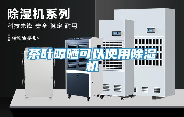 茶叶晾晒可以使用猫咪成人官网