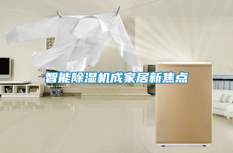 智能猫咪成人官网成家居新焦点