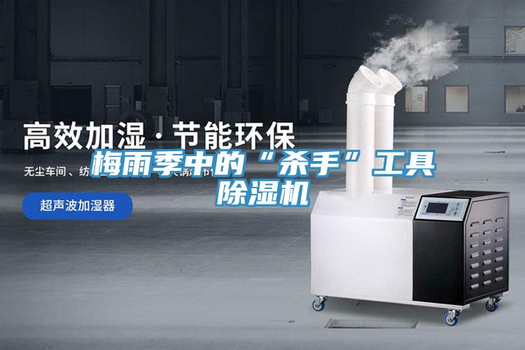 梅雨季中的“杀手”工具猫咪成人官网