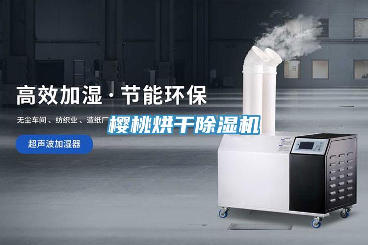 樱桃烘干猫咪成人官网